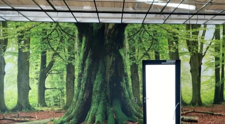 WhatsApp Image 2024 08 29 at 16.40.30